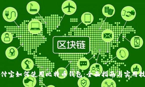支付宝如何使用比特币钱包：全面指南与实用技巧