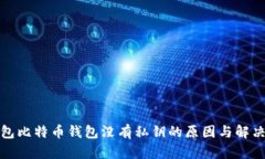 TP钱包比特币钱包没有私钥的原因与解决方案