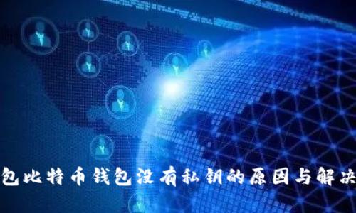 TP钱包比特币钱包没有私钥的原因与解决方案