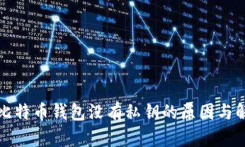 TP钱包比特币钱包没有私钥的原因与解决方案