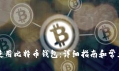 国内如何使用比特币钱包：详细指南和常见问题
