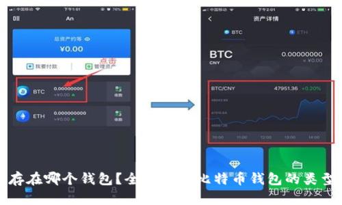 比特币存在哪个钱包？全面解析比特币钱包的类型与选择