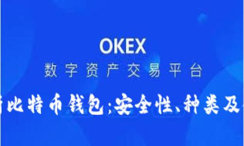 全面解析比特币钱包：安全性、种类及使用指南