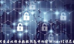 如何查看比特币数据钱包