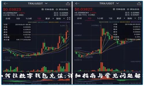 如何往数字钱包充值：详细指南与常见问题解答