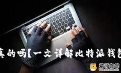 比特派钱包里的币是真的吗？一文详解比特派钱