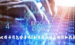 比特币钱包安全吗？如何