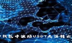 如何解决TP钱包中波场US