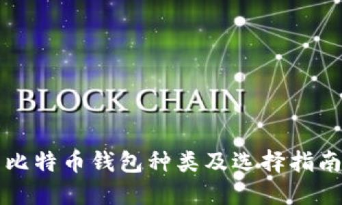 比特币钱包种类及选择指南