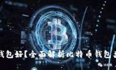 比特币存哪个钱包好？全面解析比特币钱包类型