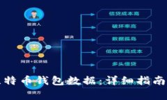 如何安全导入比特币钱包数据：详细指南与常见