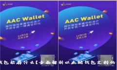 以太坊钱包能存什么？全面解析以太坊钱包支持
