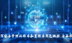 如何安全管理比特币和莱特币钱包地址：全面指