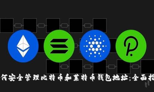 如何安全管理比特币和莱特币钱包地址：全面指南