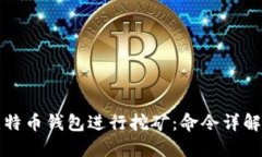 如何使用比特币钱包进行挖矿：命令详解与实用