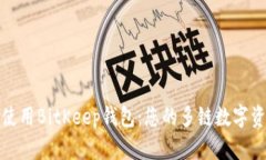 如何下载和使用BitKeep钱包：您的多链数字资产管